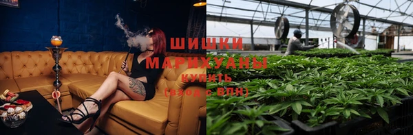 PSILOCYBIN Абинск