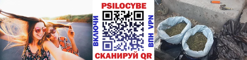 Псилоцибиновые грибы ЛСД  Нижняя Тура 